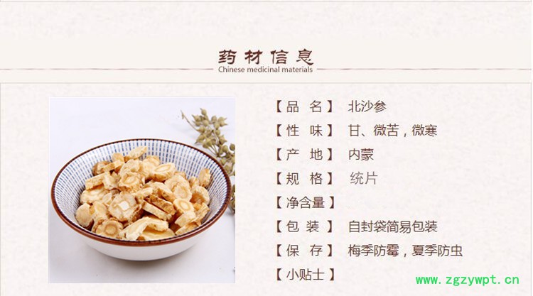 北沙参1.jpg