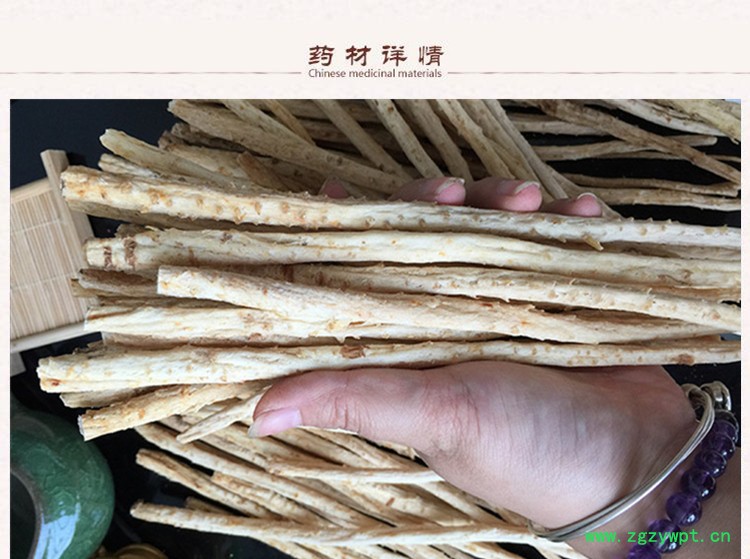 北沙参2.jpg
