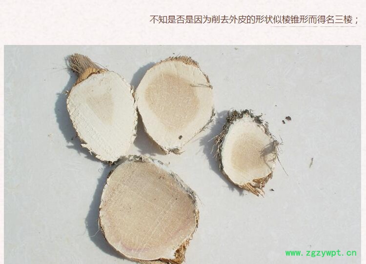 三棱3.jpg