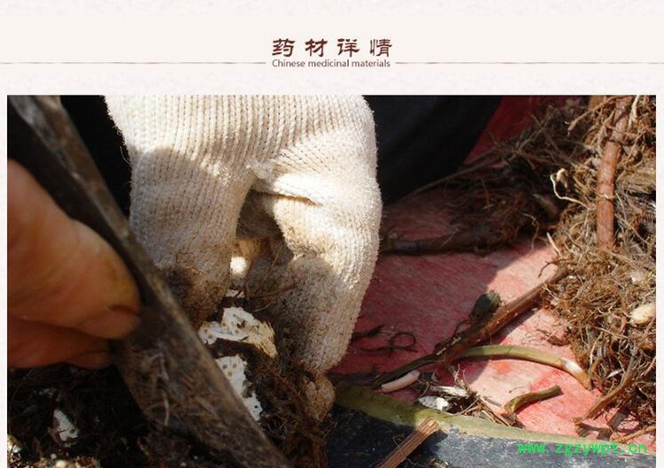 三棱2.jpg