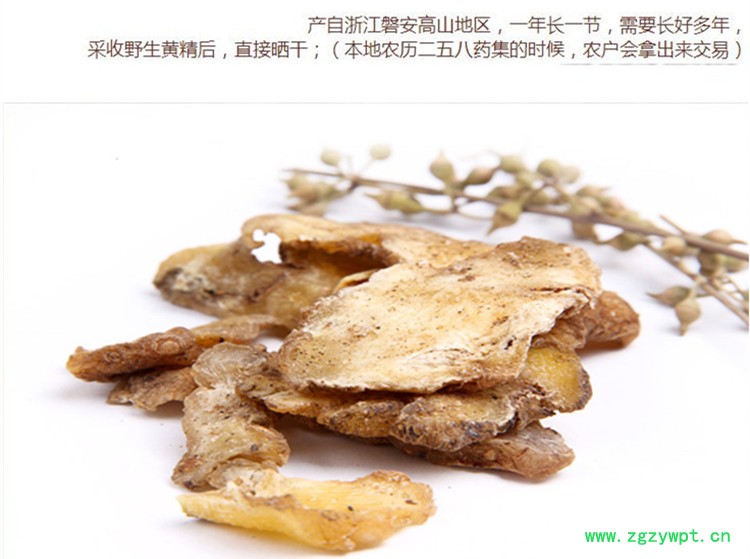 生黄精4.jpg