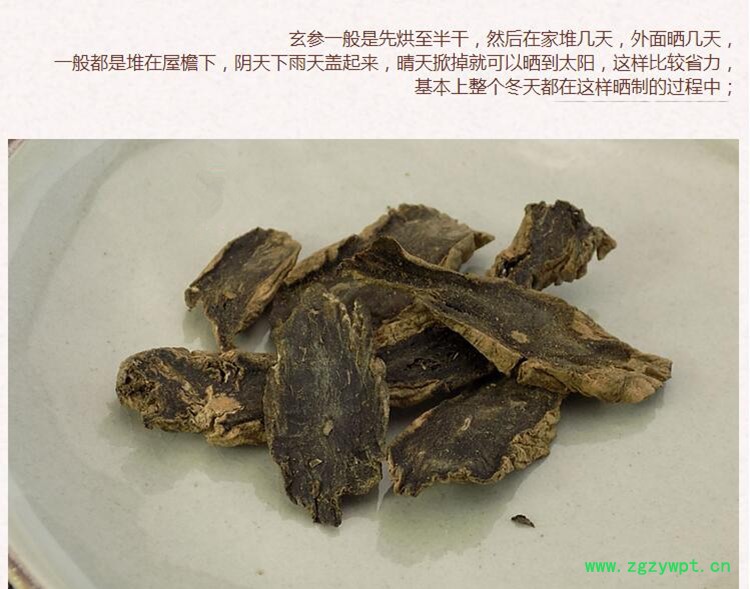 玄参4.jpg