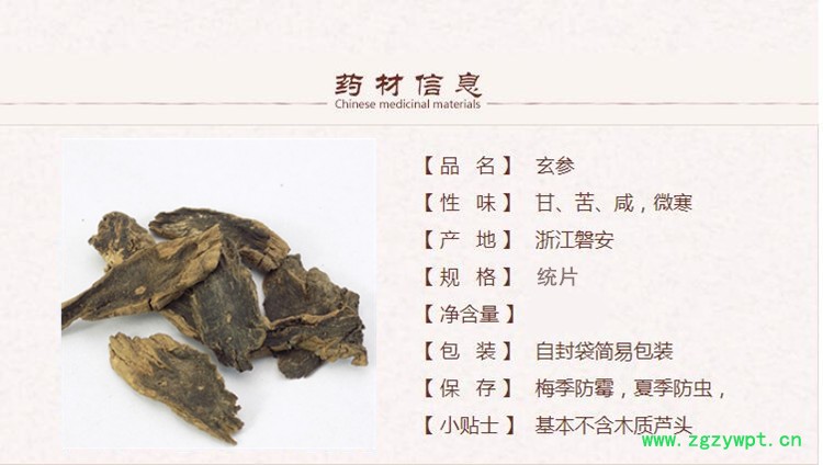 玄参1_副本.jpg