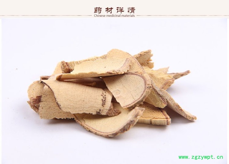牛大力2.jpg