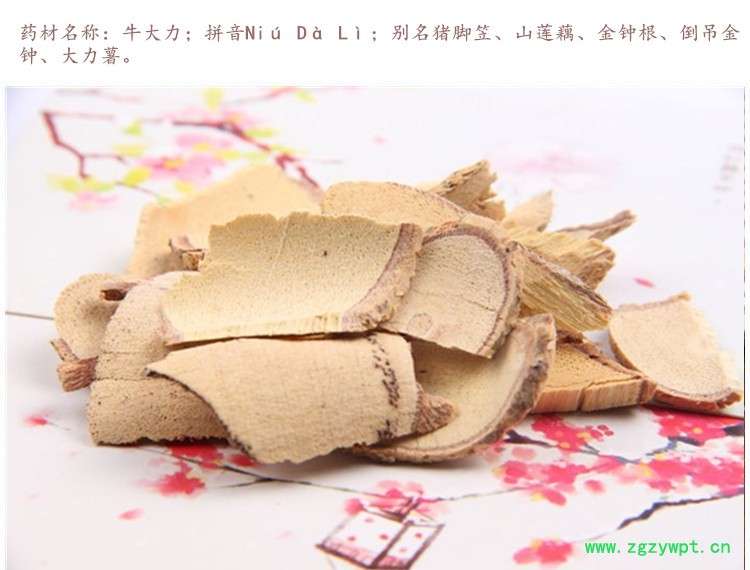 牛大力3.jpg