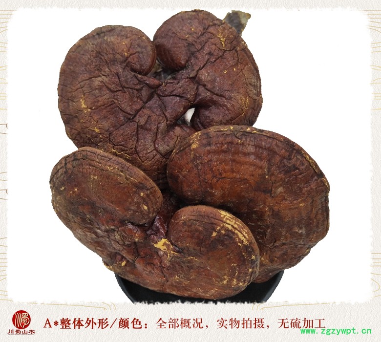 cstcssnhonglingzhixiaogetonghuo08.jpg
