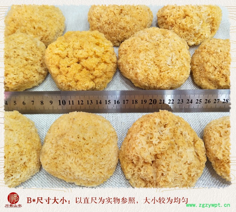cstcssnyinerxiaoduo09.jpg