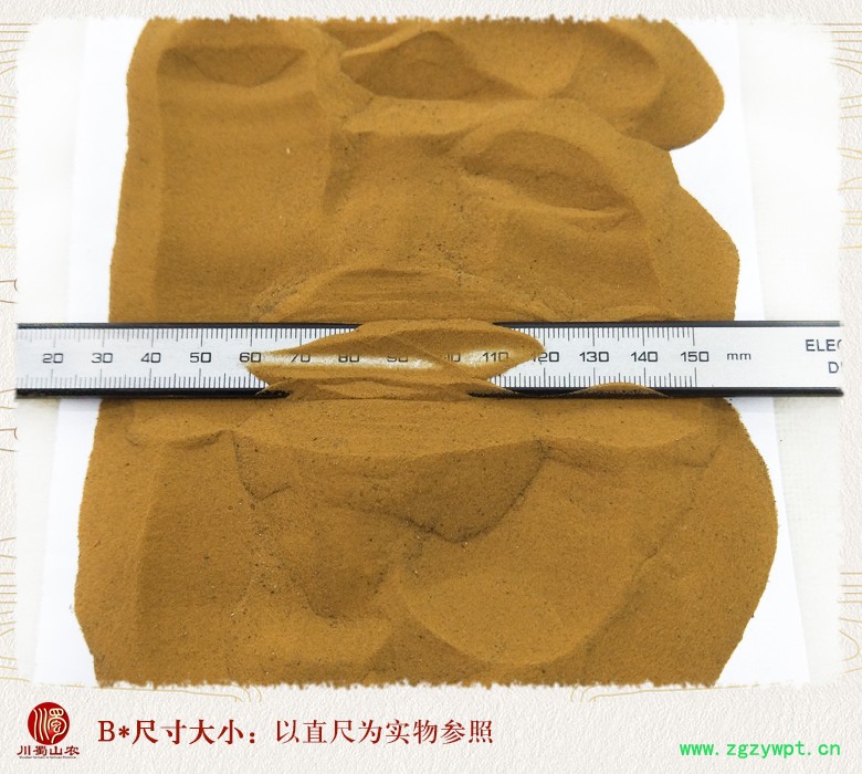 cstcssnhaijinsha09.jpg