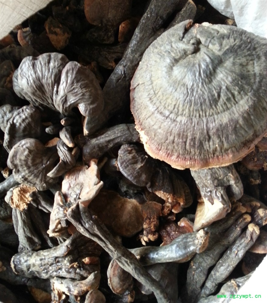 120野生香灵芝_meitu_1.jpg