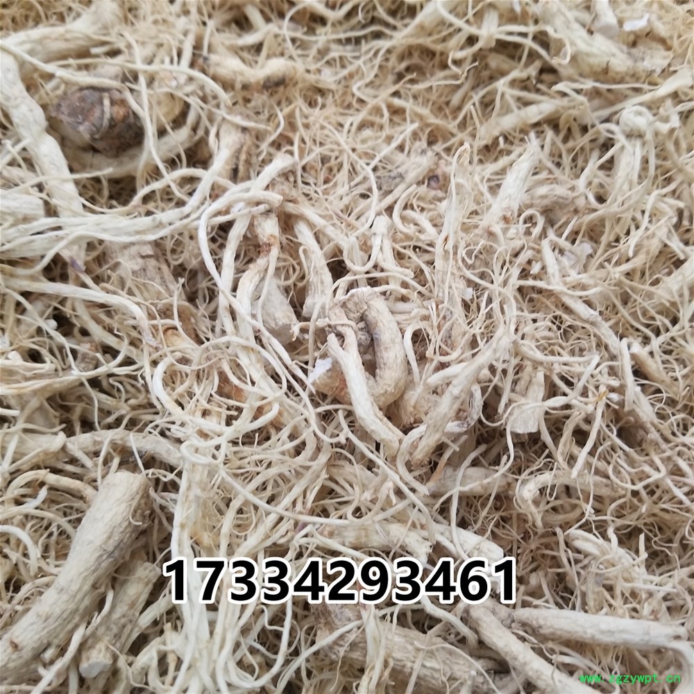 20190305_152824.jpg