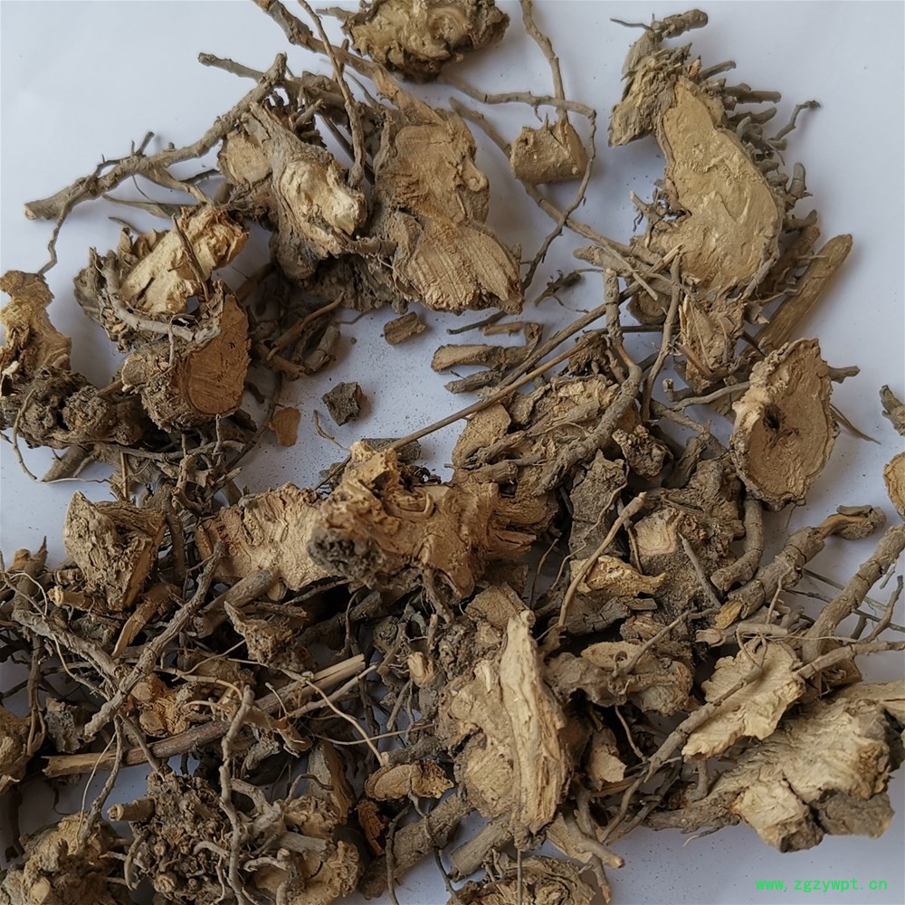 茉莉根_副本.jpg