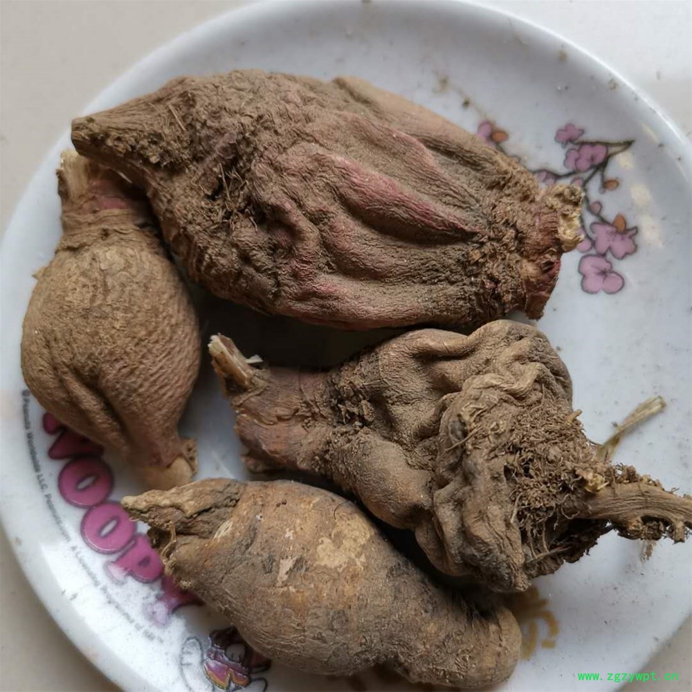 微信图片_20190325200328.jpg