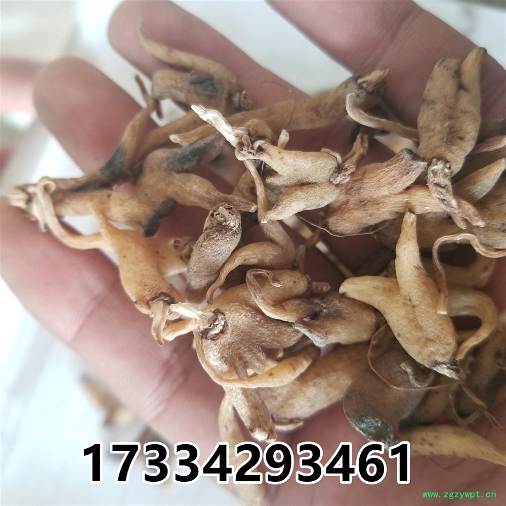20190213_140536.jpg