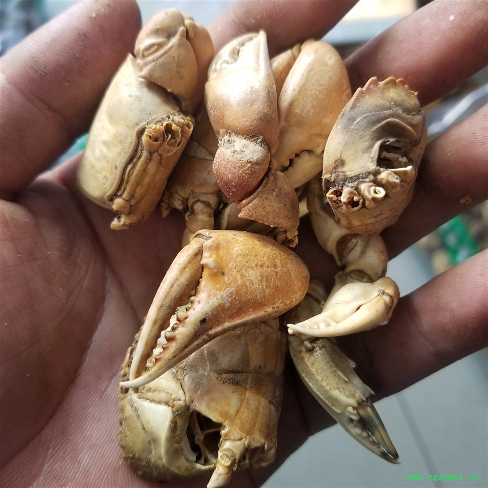 20190327_145051.jpg