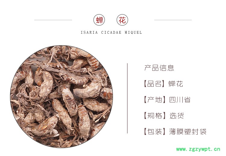 新二维码.jpg