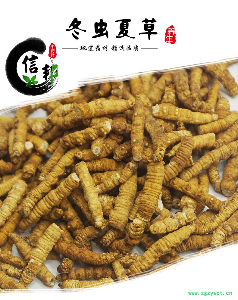 冬虫夏草肉节详情1.jpg
