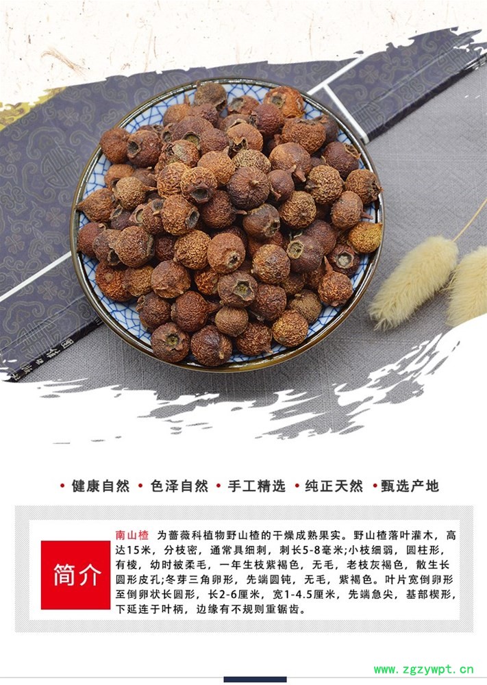 南山楂_02.jpg