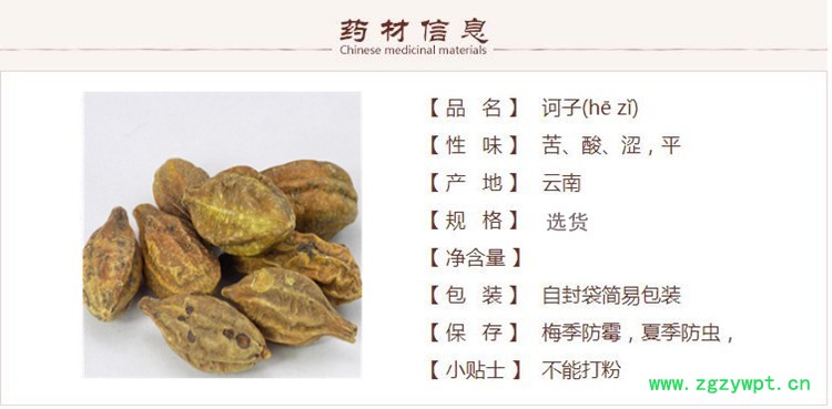诃子1_副本.jpg