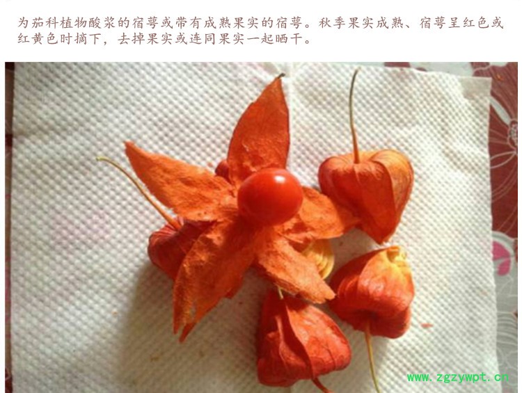 挂金灯4.jpg