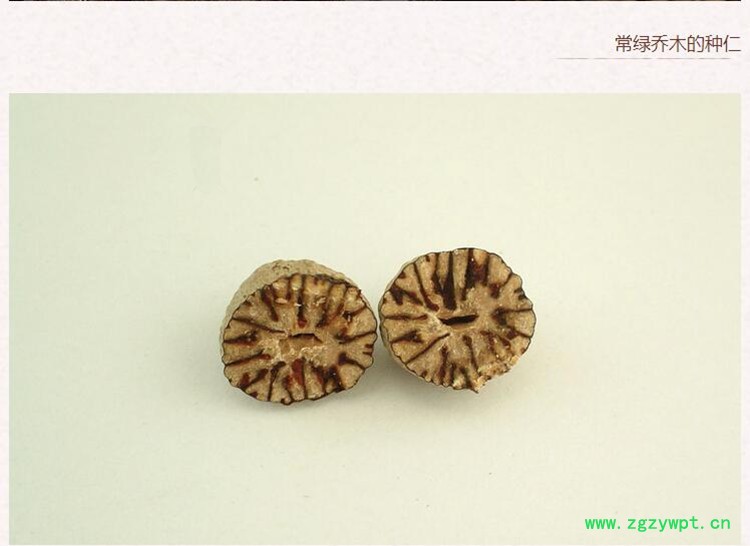 肉豆蔻3.jpg