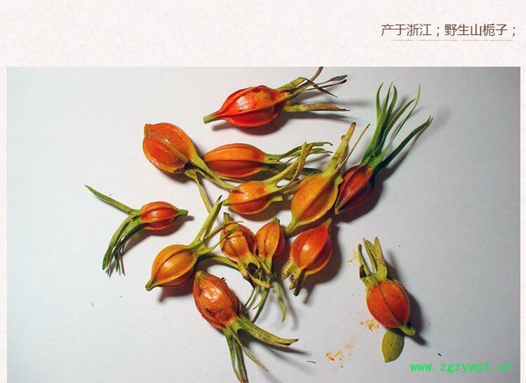 栀子4.jpg