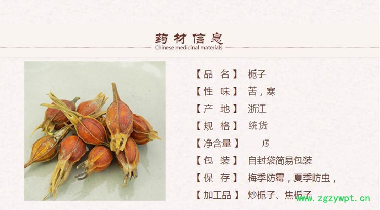 栀子1_副本.jpg