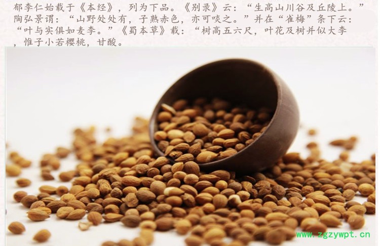 郁李仁3.jpg