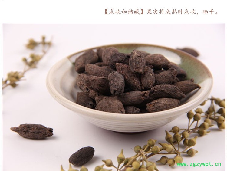 母丁香4.jpg
