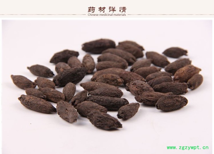 母丁香2.jpg