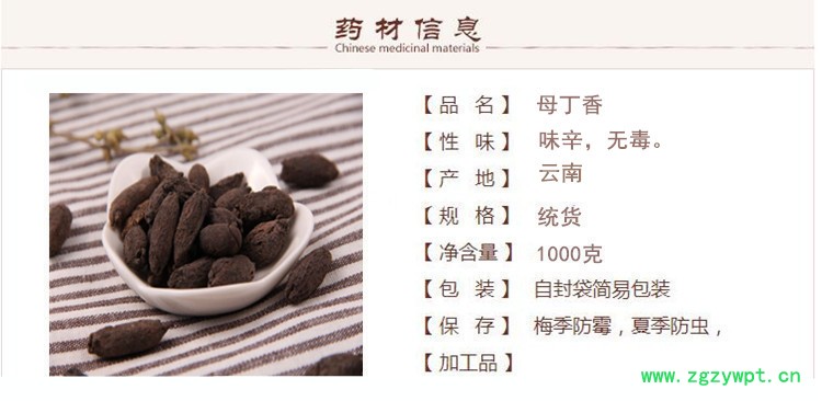 母丁香1.jpg