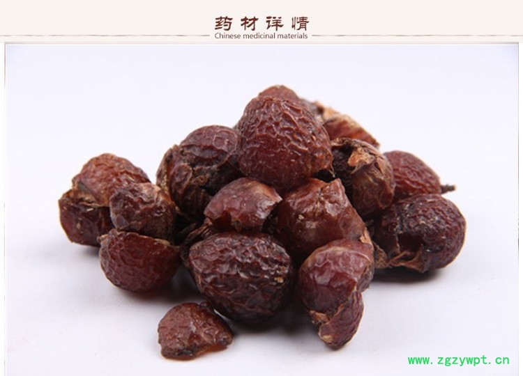 无患子果皮2.jpg