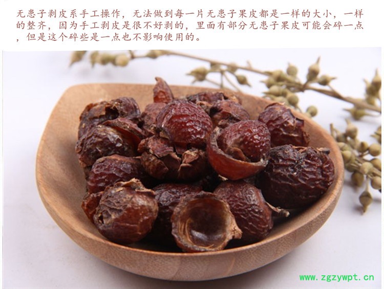 无患子果皮4.jpg