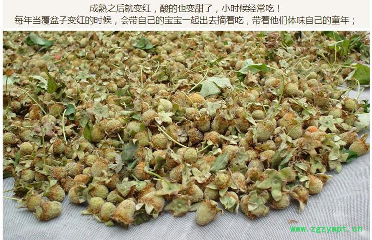 浙覆盆子统货3.jpg