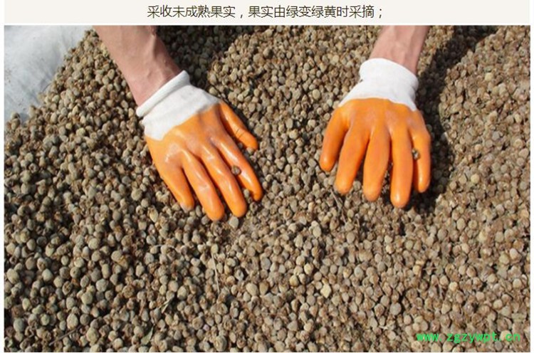 浙覆盆子统货4.jpg