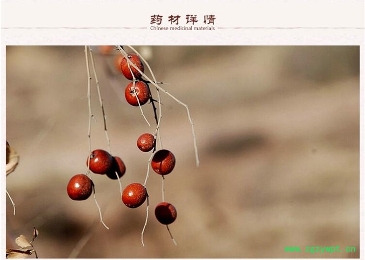炒酸枣仁2.jpg