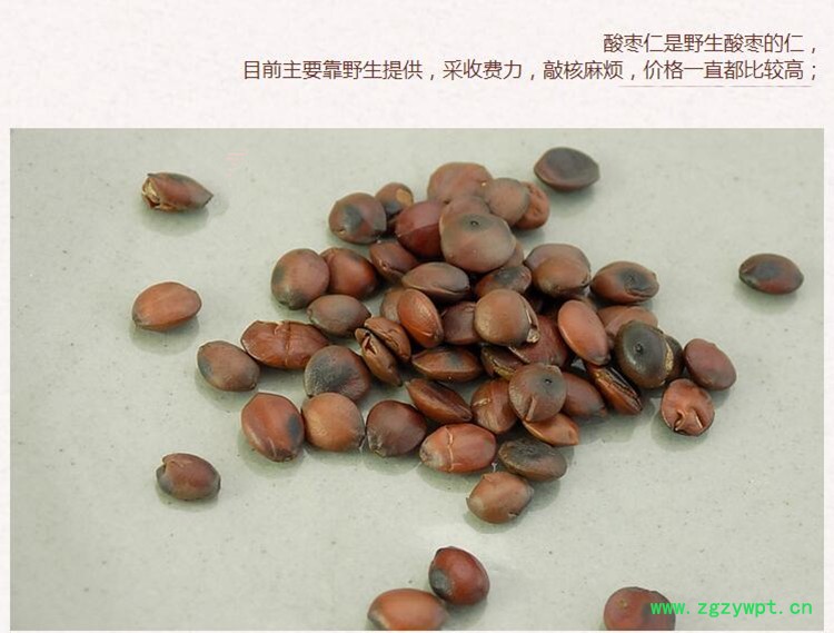 炒酸枣仁3.jpg