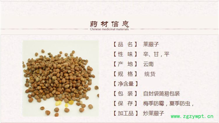 莱菔子1_副本.jpg