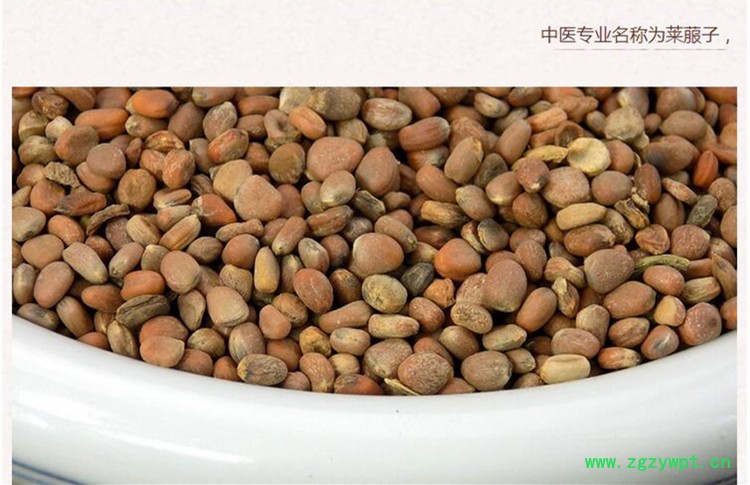 莱菔子4.jpg