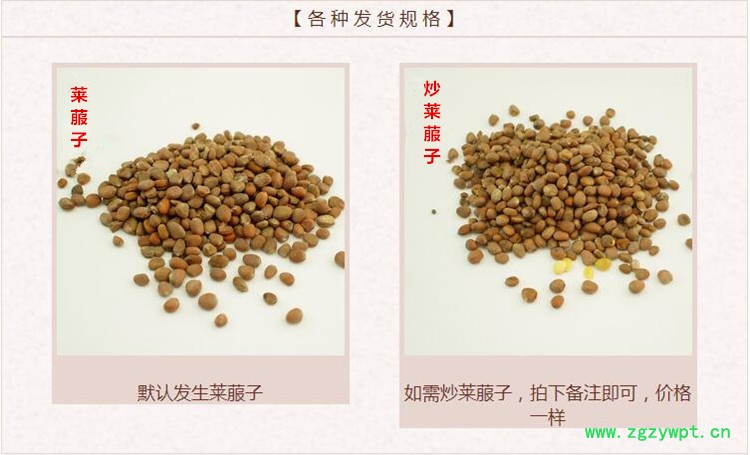 莱菔子2.jpg