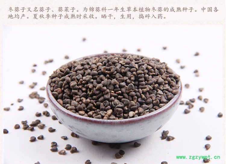 冬葵子3.jpg