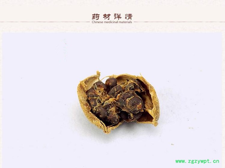 益智2.jpg