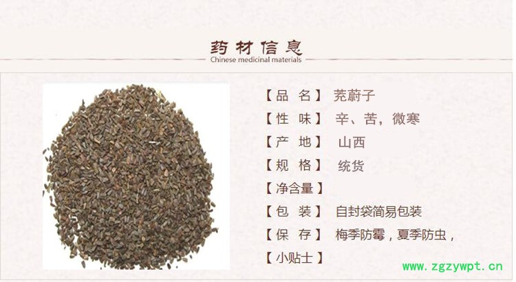 茺蔚子1.jpg