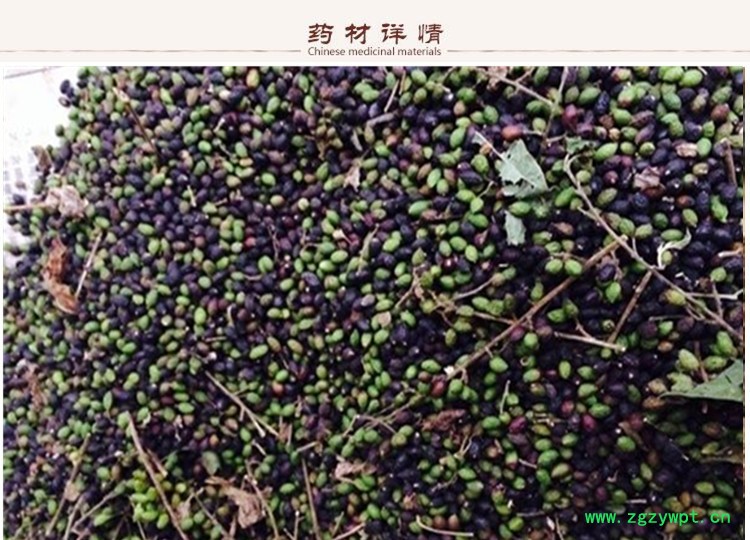 鸦胆子2.jpg