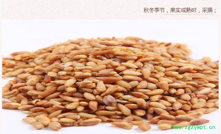 选货柏子仁5.jpg
