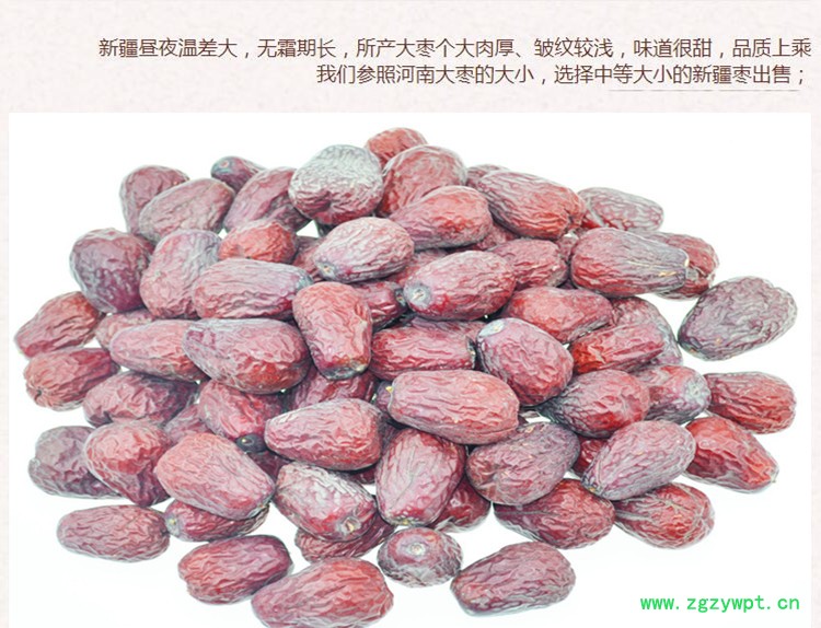 俊枣5.jpg