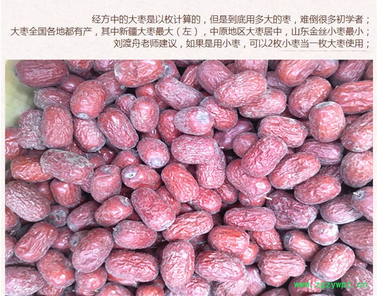 俊枣3.jpg