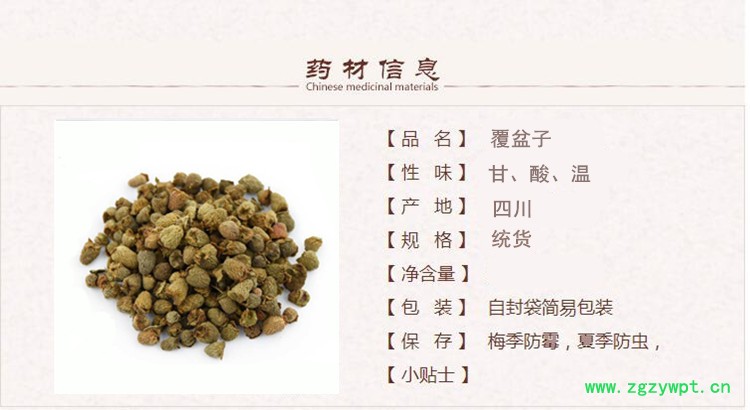 覆盆子1_本_副本.jpg