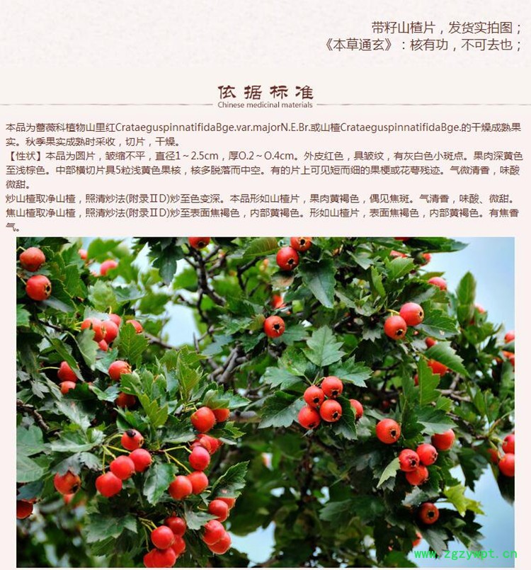 山楂5.jpg
