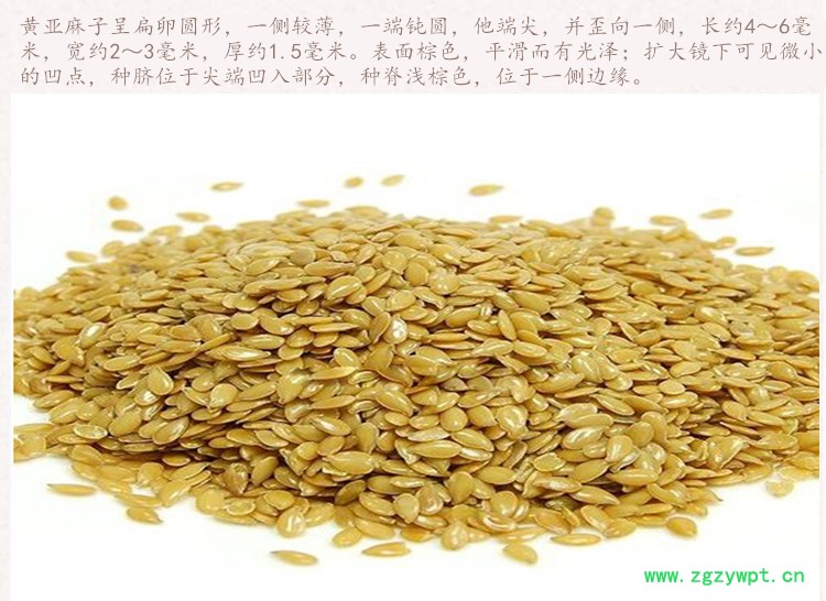 黄亚麻子3.jpg