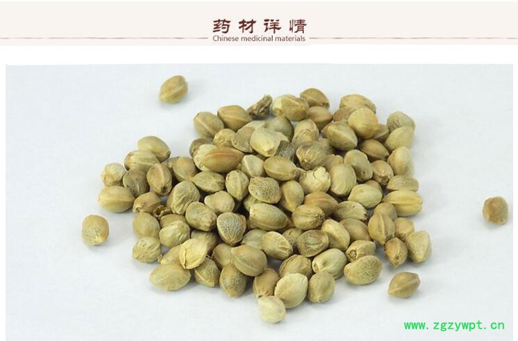 火麻仁2.jpg